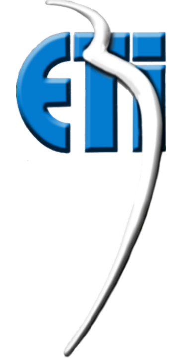 ETIB logo